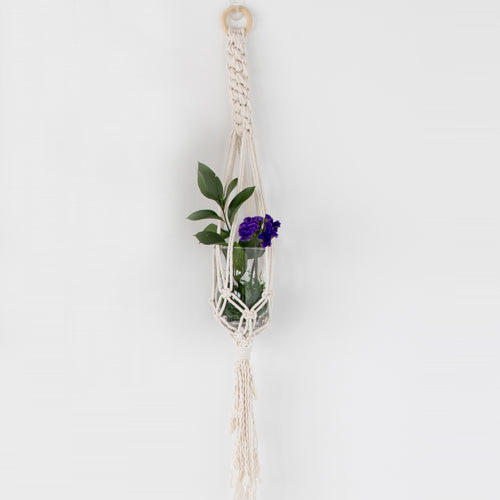 fern plant hanger Boston Fern Plant Hanger – drifter and bloom