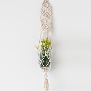 Agave Plant Hanger